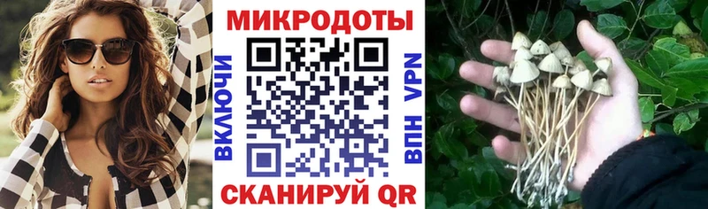 Псилоцибиновые грибы мицелий  закладки  Петухово 